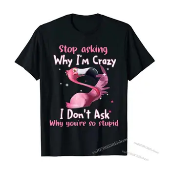 Забавная футболка с Фламинго Перестань спрашивать, Почему я Сумасшедший, Я не спрашиваю, Почему Ты Такой Глупый, Цитаты Из Высказываний, Саркастическая Футболка, Топ для любителей Фламинго.