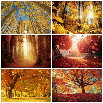 Осенние Живописные фоны Пейзаж Желтый Лес Кленовые деревья Листья Дорога Детские Фоны для портретной фотографии Фотостудия